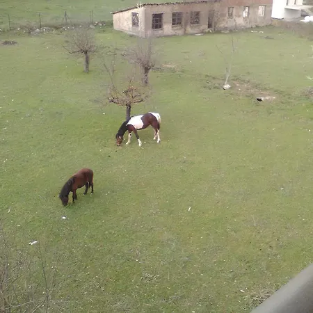 To Spiti Tis Irinis Vitina