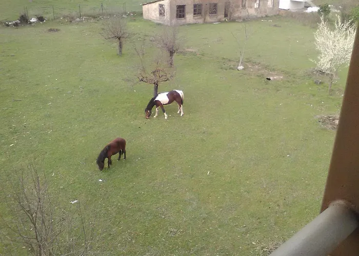 To Spiti Tis Irinis ויטינה